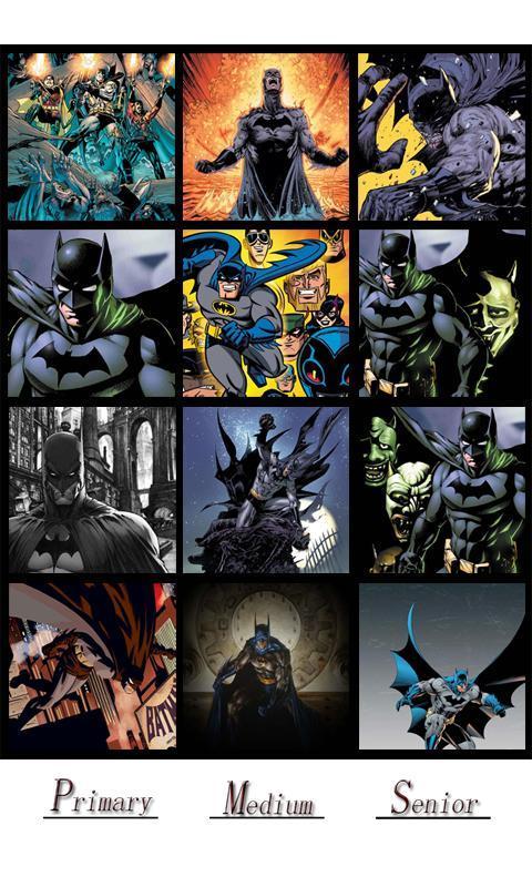 Batman Jigsaw Puzzle截图4