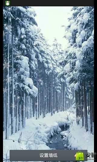 唯美雪景-绿豆秀秀动态壁纸截图2