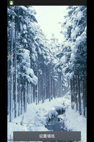 唯美雪景-绿豆秀秀动态壁纸截图5