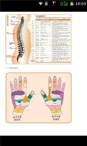 男女高清按摩穴位图解截图4