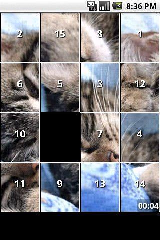 Kitten and Cat Puzzles截图1