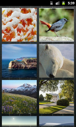 Galaxy S3 Wallpapers HD截图1