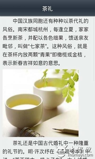 茶道话养生截图5