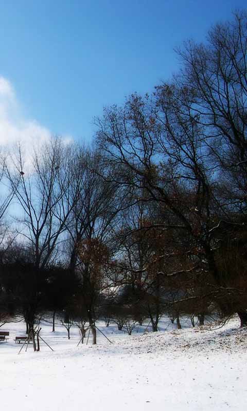 精美雪景高清动态壁纸截图1