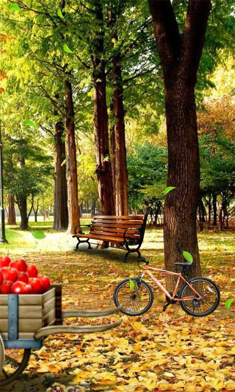 Autumn Leaves 3D Free LWP截图2