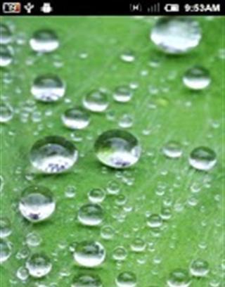 Cool drops of water live wallpaper截图3