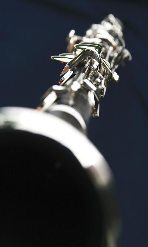 Real Clarinet截图2