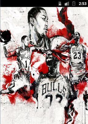 Chicago Bulls LWP截图2