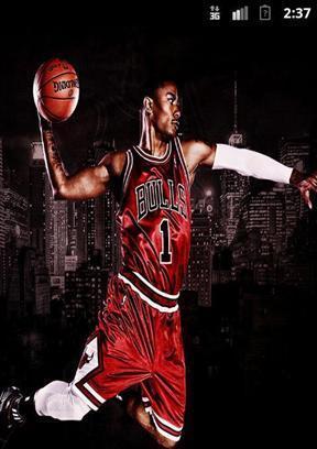 Chicago Bulls LWP截图5