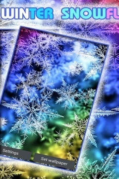 Colorful Winter Snowflakes LWP 3.0截图1