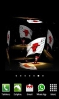 3D Chicago Bulls Wallpaper 1.00截图2