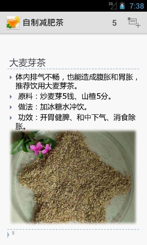 Diet Tea截图4