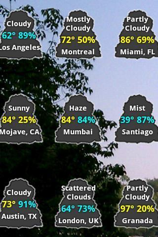 Catty Weather Widget截图1