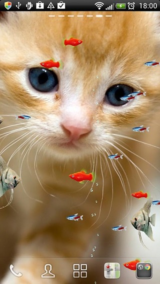 FISH&amp;CAT LIVE WALL PAPER (11)截图1