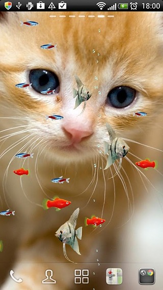 FISH&amp;CAT LIVE WALL PAPER (11)截图2