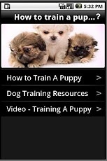 How To Train A Puppy截图2