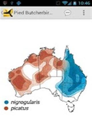 澳大利亚鸟类指南截图2