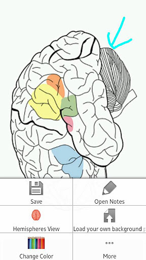 Psychiatry-Neurology Pro截图4