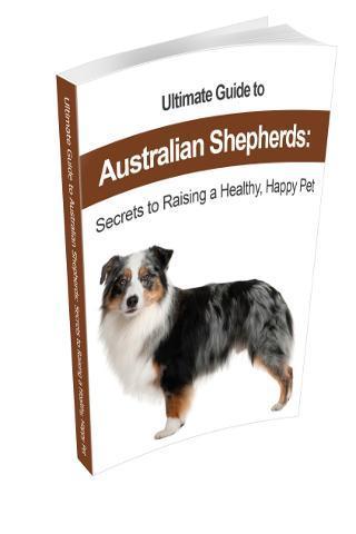 Australian Shepherd截图4