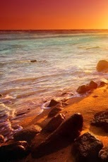 Beautiful Sunshine Wallpaper 4截图1