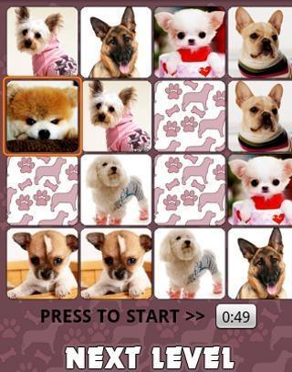 Find Dogs截图2