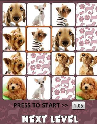 Find Dogs截图3