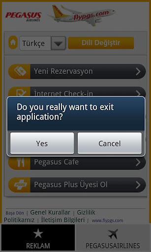 Pegasus Airlines截图1