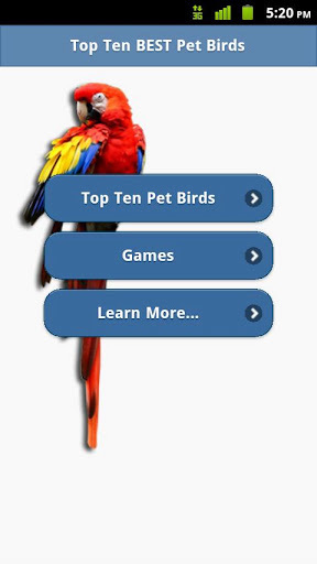 Top10 BEST Pet Birds截图2