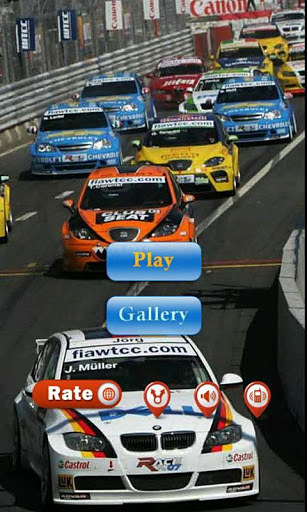 Racing car: WRC截图6