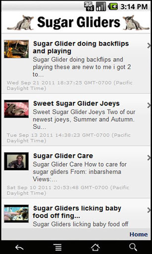 Sugar Gliders截图2