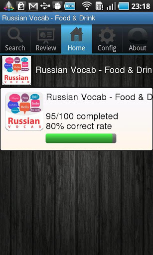 Russian Vocabulary Flashcard截图1