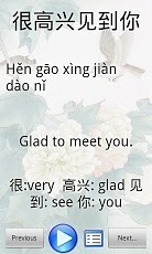 Learn Chinese With Li截图1