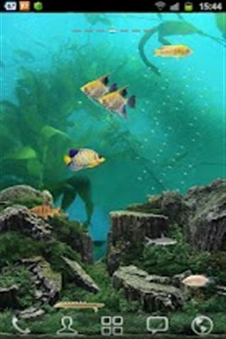 免费宽屏水族馆LWP截图2