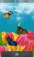 3D Butterfly Live Wallpaper 截图1