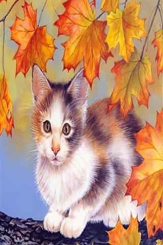 Cats Wallpaper HD截图1