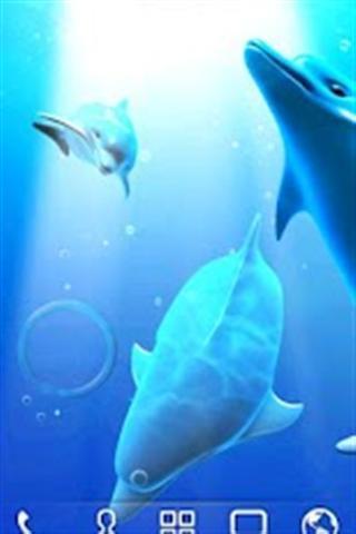 海豚壁纸 Dolphin LiveWallpaper Trial截图3