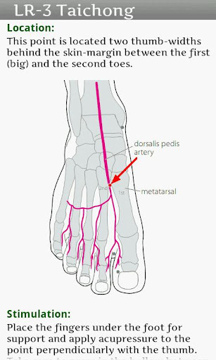 Acupressure: Health Guide截图4