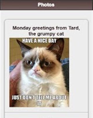 Tardar Sauce - The Grumpy Cat截图3