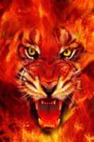 Fire Tiger Live Wallpaper 截图3