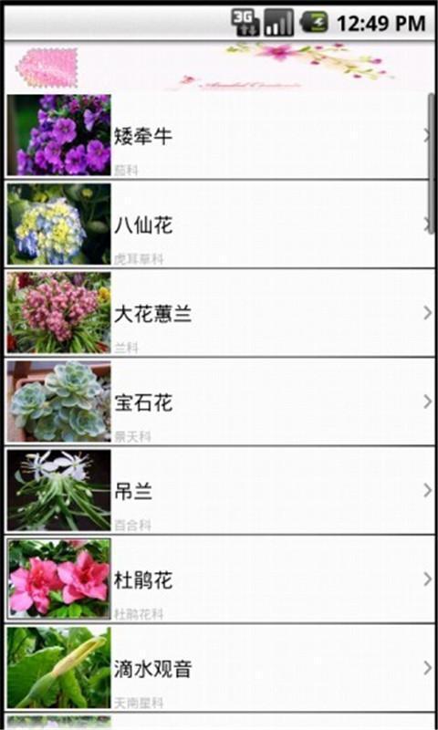养花百科截图2