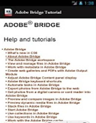 Adobe Bridge Tutorial截图2