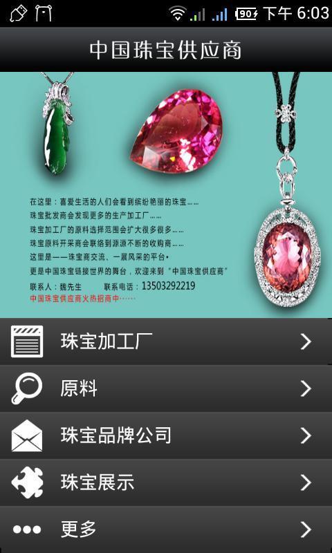 中国珠宝供应商截图1