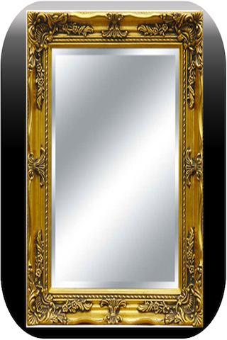 Free Mirror!截图1