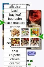 Gourmet Spices & Herbs (Keys)截图6