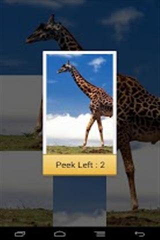 Animal Jigsaw Puzzle Game截图5