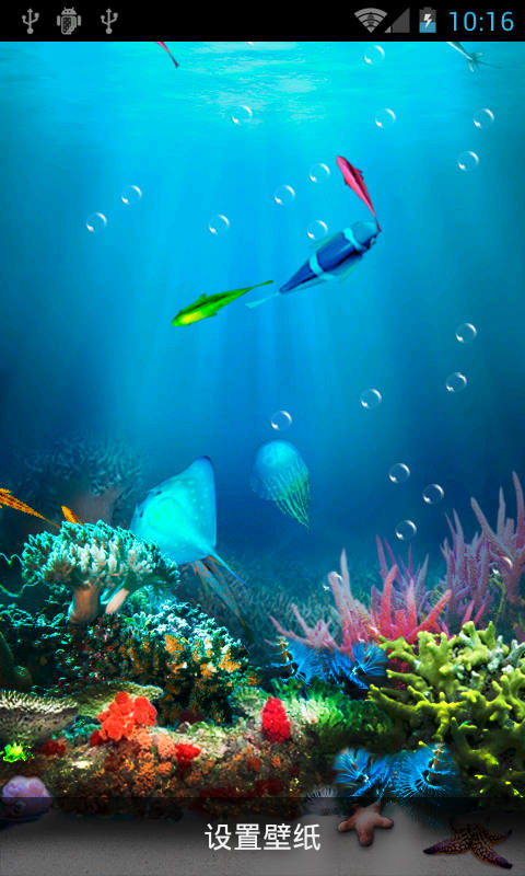 海底生物动态壁纸截图2