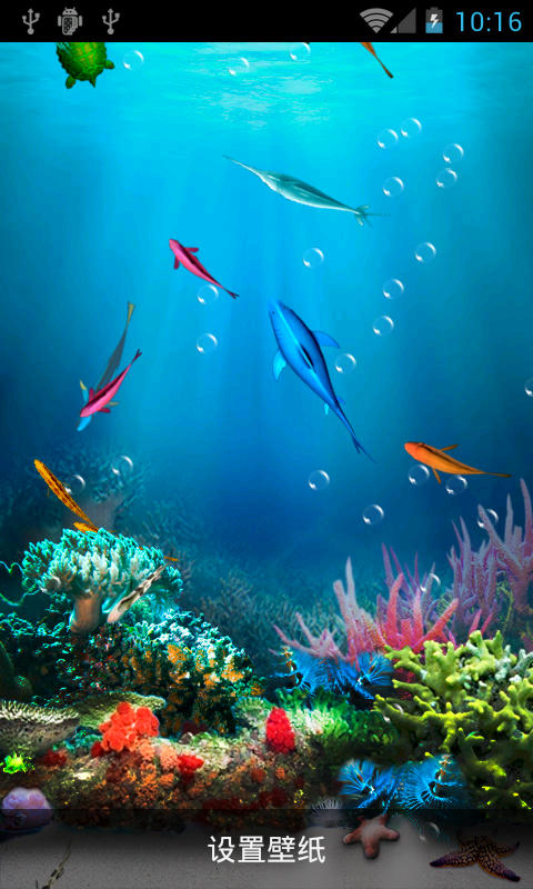 海底生物动态壁纸截图3