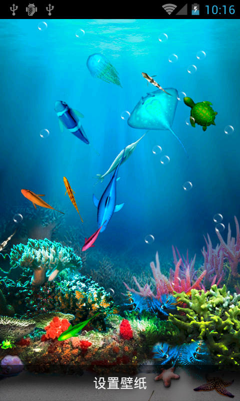 海底生物动态壁纸截图4