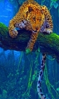 Wild Cat Live Wallpaper 2截图2