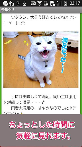 日刊ねこ新闻-猫情报まとめ截图5